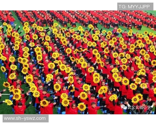 三亚篮球明星赛盛大开启球星云集激情四溢点燃热血篮球梦