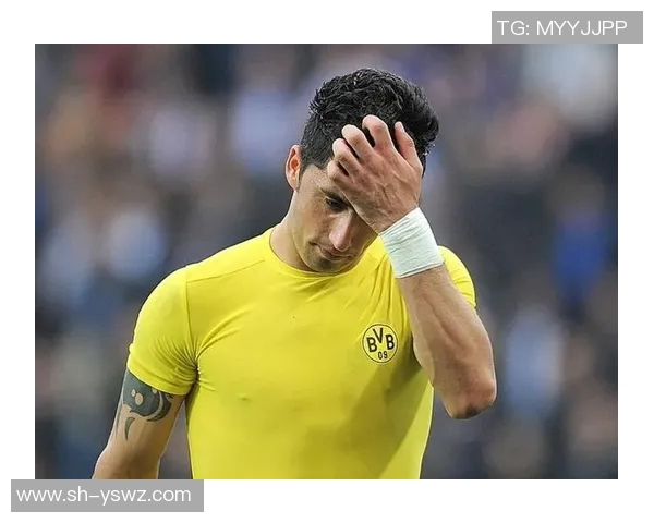 阿根廷足球明星Barrios的辉煌历程与未来展望